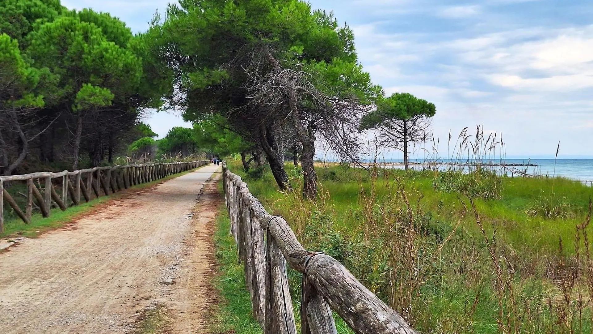 Amazing Apartment With Terrace For 5 Guests Bibione